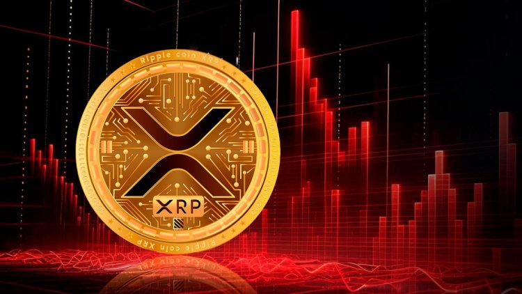 XRP: Likwidacje Mniejsze, Niż Oczekiwano