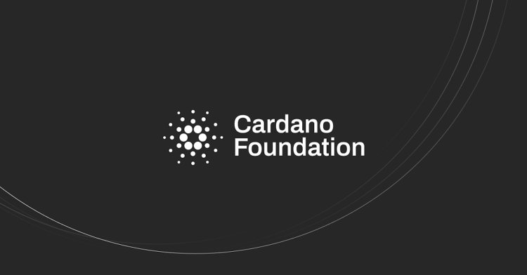 Społeczność Cardano ostrzega przed oszustwem