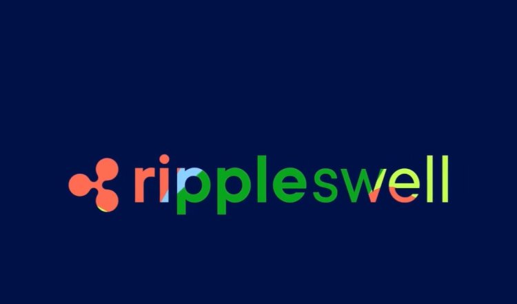 Ripple Swell 2024 w Miami