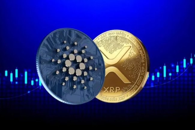 Ripple i Cardano rozmawiają o współpracy
