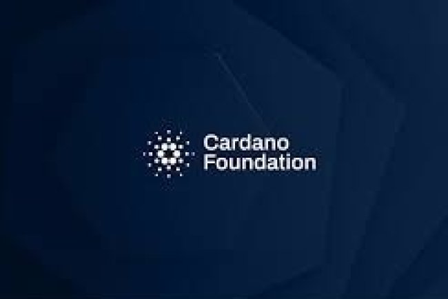 Wydatki Cardano w 2023 Roku