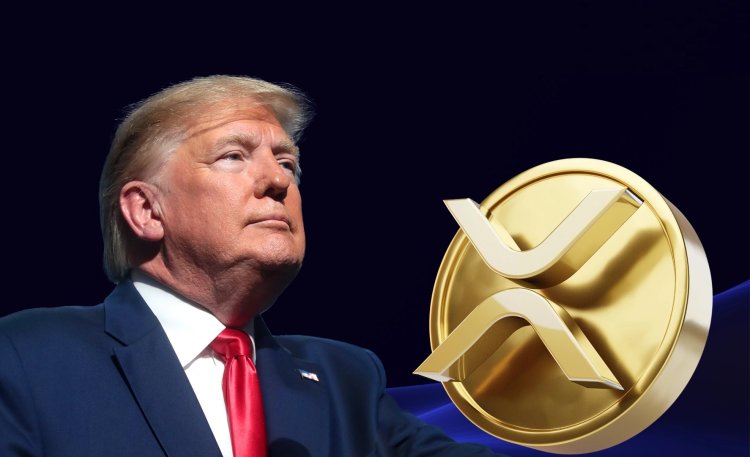 Spekulacje o Ripple i Trumpie