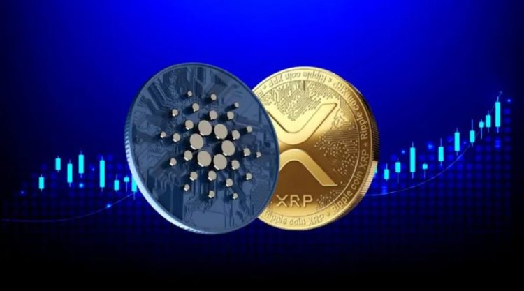 Ripple i Cardano rozmawiają o współpracy