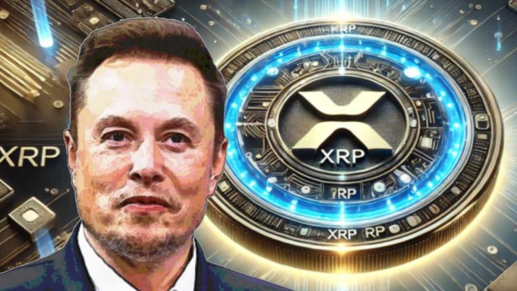 Czy Elon Musk zainwestuje w XRP ?