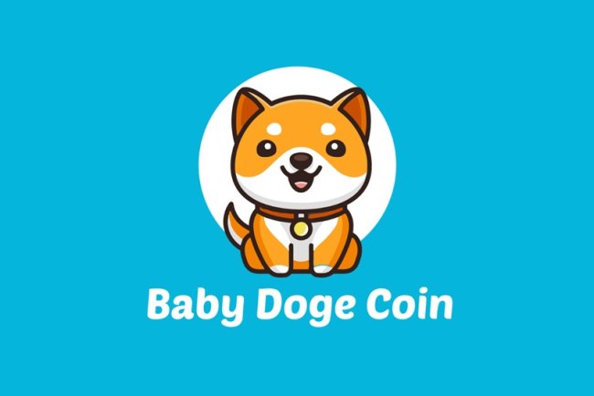 Baby Doge Coin rośnie o 65% tweecie  Muska