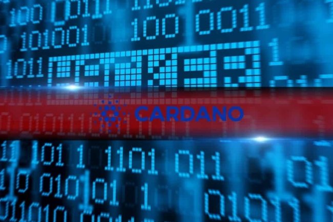 Atak na konto Fundacji Cardano