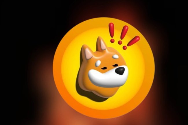 BONK traci mimo spalania