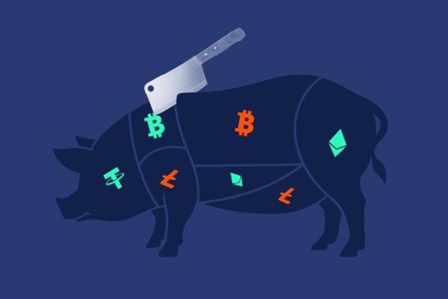 Pig Butchering pogrąża inwestorów