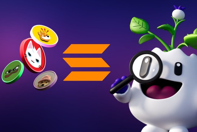 Solana - Królestwo Memów i Niestabilności