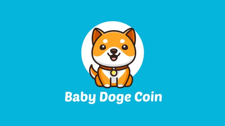 Baby Doge Coin rośnie o 65% tweecie  Muska