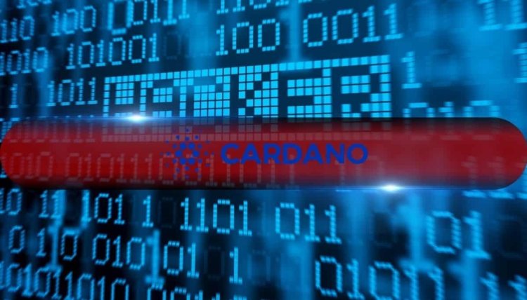 Atak na konto Fundacji Cardano