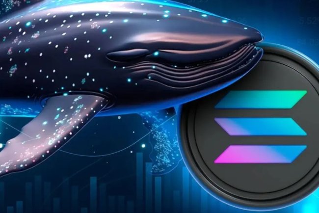 Solana pod Presją Sprzedaży