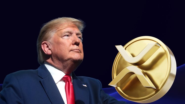 Trump Zwraca Uwagę na Ripple