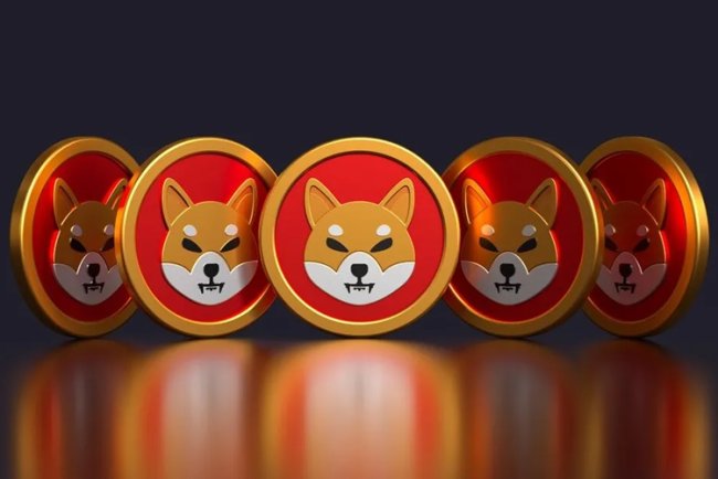 Ponad 80% inwestorów SHIBy na stracie