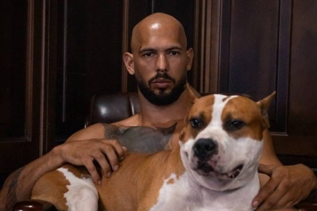 Oskarżenia wobec Tate'a