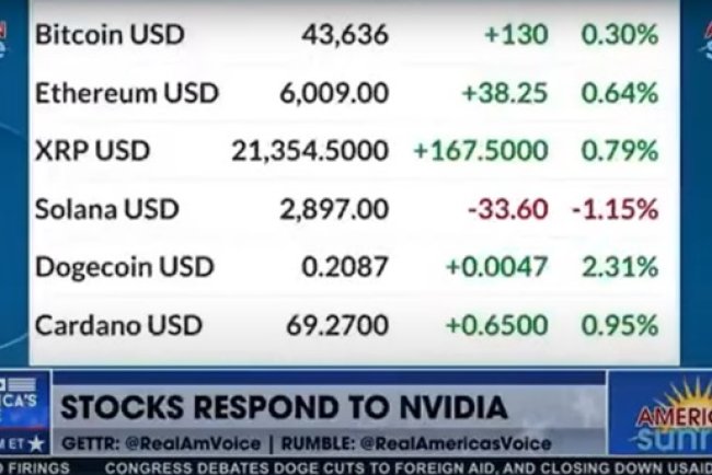 XRP za 21 355$- Błąd transmisji?