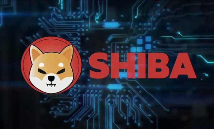 SHIBA nie zwalnia tempa