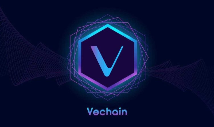 VeChain zgodny z MiCAR