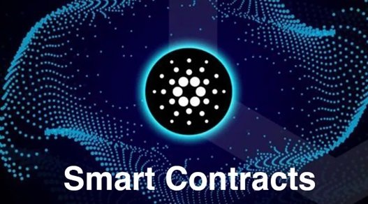 Smart kontrakty Cardano biją rekordy