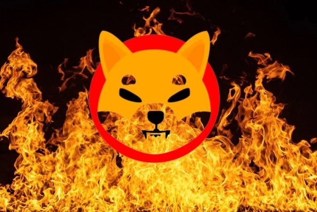 Shiba Inu przyspiesza spalanie tokenów