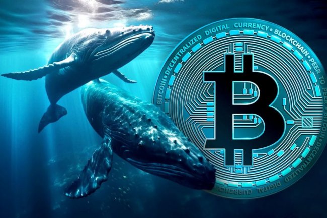 Wieloryby znów kupują BTC