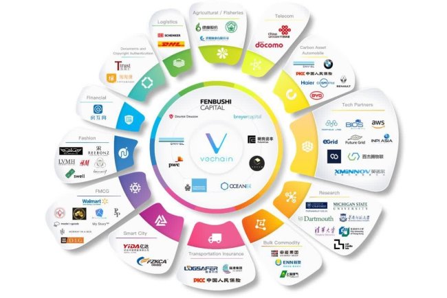 Nowy staking VET rusza w lipcu