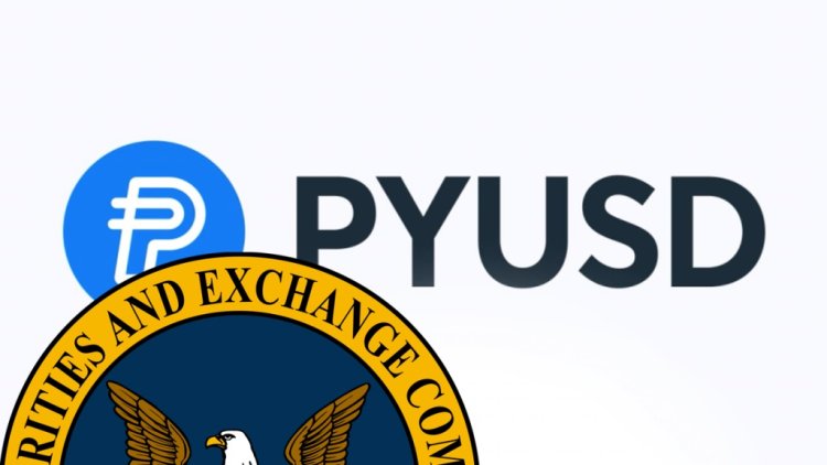 SEC zamyka sprawę PayPal
