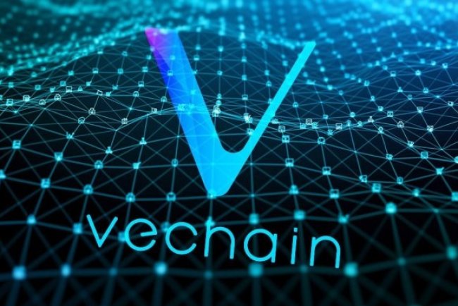 VeChain ujawnia prawdę produktów