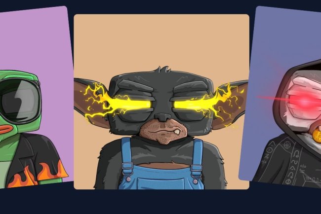 Afera wokół projektu Hashling NFT