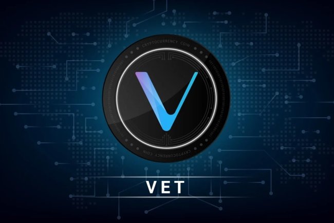 VeChain Renaissance już w lipcu