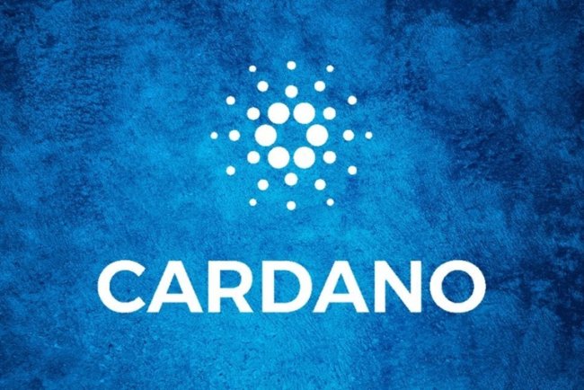 Cardano przyspiesza rozwój
