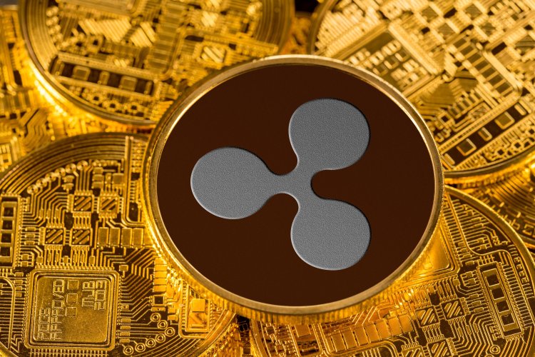 Tylko 1 na 5000 osób posiada XRP