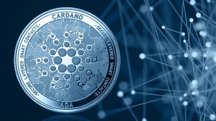 Cardano 2025: rozwój mimo korekty