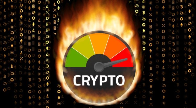 Rośnie Chciwość na rynku kryptowalut
