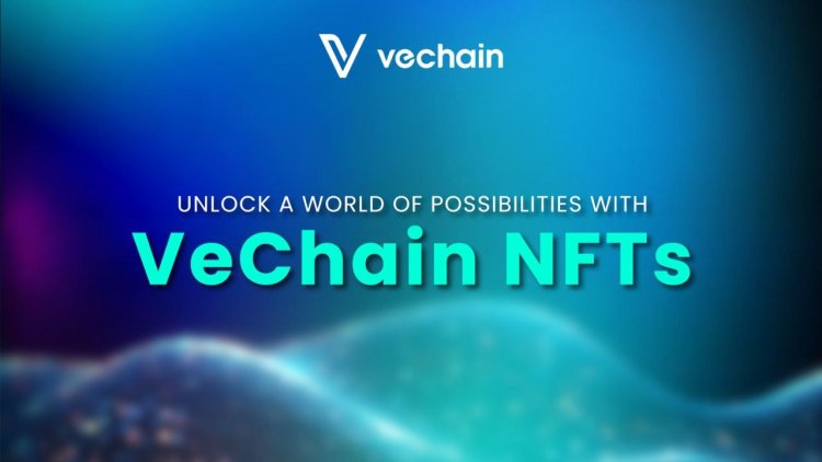 VeChain zmienia system NFT