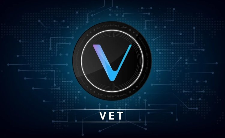 VeChain Renaissance już w lipcu
