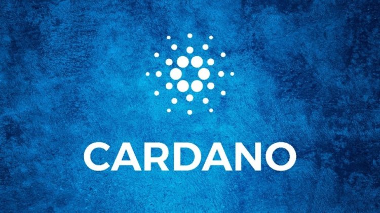 Cardano przyspiesza rozwój