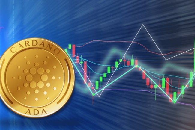 ADA traci na propozycji Hoskinsona