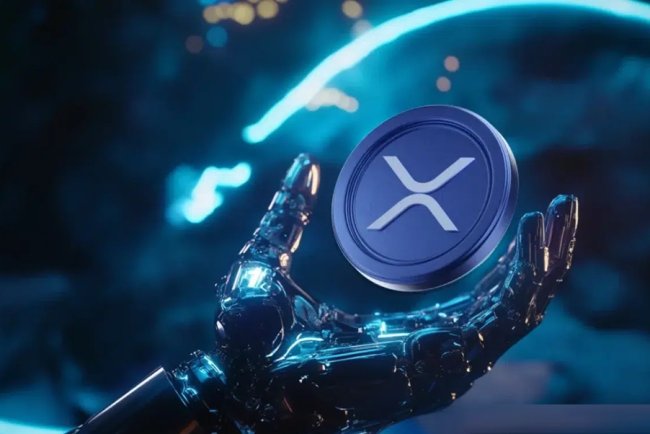 XRP Rich List: Jesteś w top 10%?