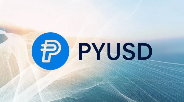 PYUSD od PayPala rośnie w siłę