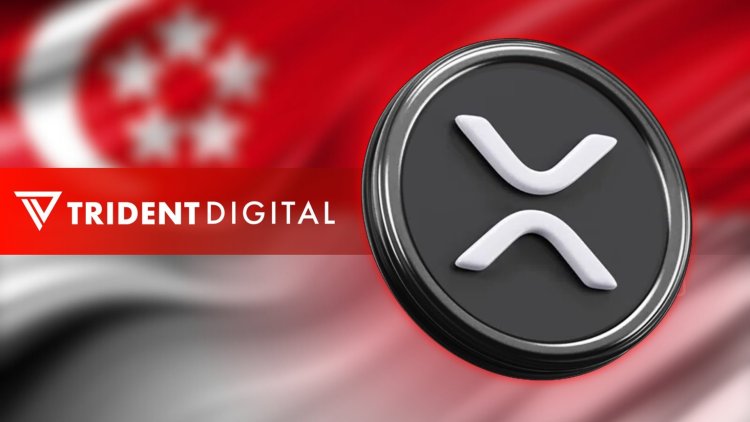 Trident: XRP zamiast Bitcoina
