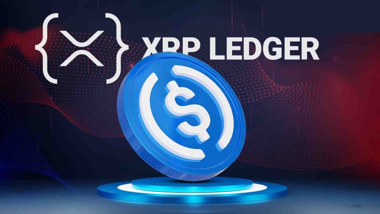 USDC debiutuje na XRP Ledger