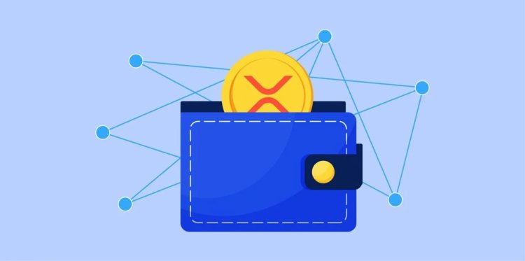 XRP zyskuje użytkowników