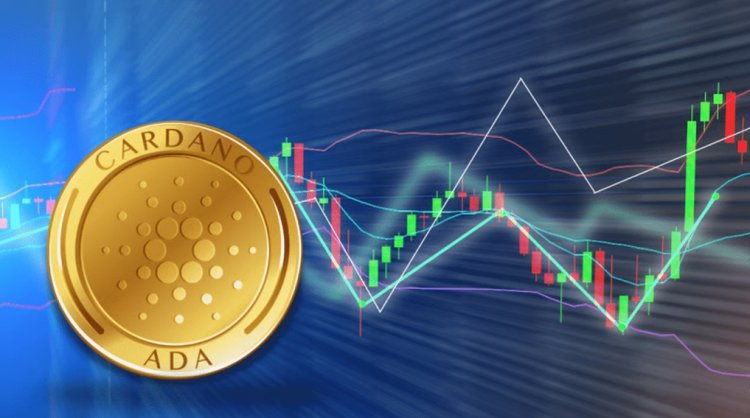 ADA traci na propozycji Hoskinsona