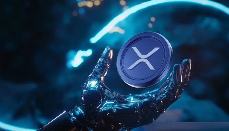 XRP Rich List: Jesteś w top 10%?