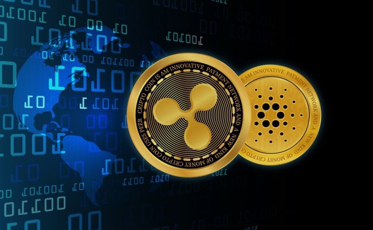 Sojusz XRP i Cardano