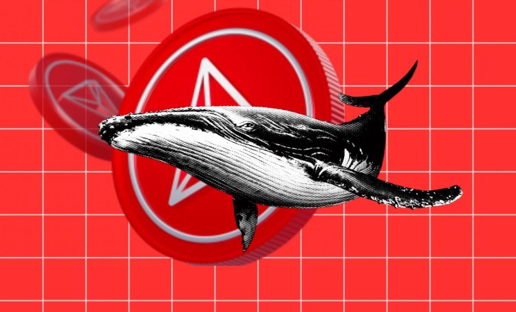 TRX: Wieloryby realizują rekordowe zyski