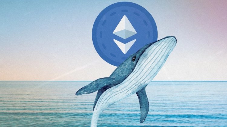 ETH: rekordowe zakupy wielorybów