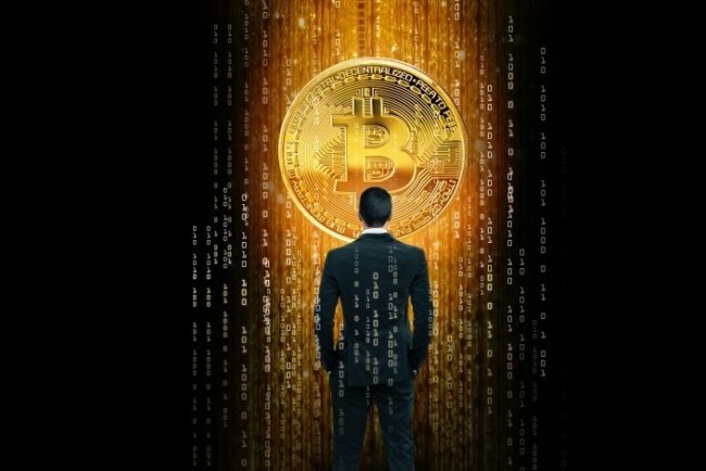 Wieloryby z 2011 roku reaktywują portfele