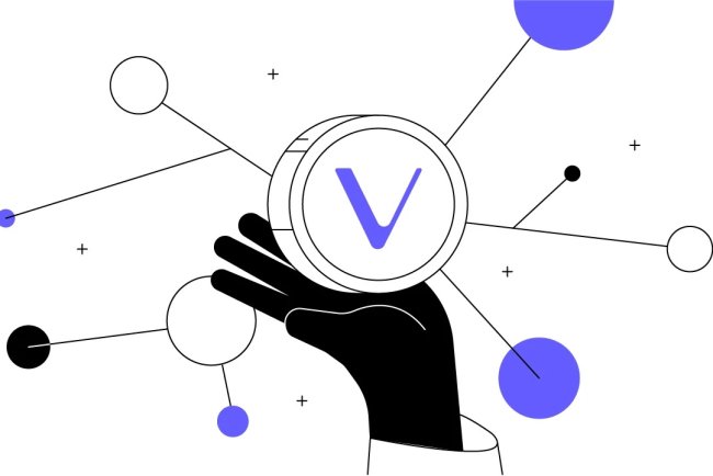 Acta Logistica wyróżnia sukces VeChain